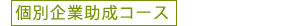 個別企業助成コース